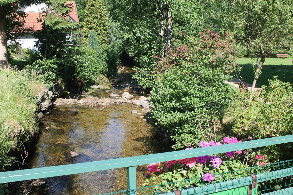 Haus Traudel Matt Hotel Elzach Kültér fotó