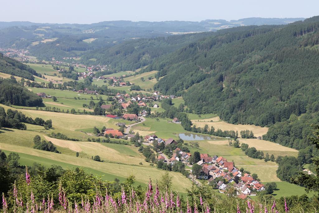 Haus Traudel Matt Hotel Elzach Kültér fotó