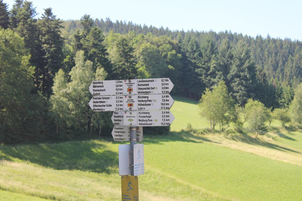 Haus Traudel Matt Hotel Elzach Kültér fotó