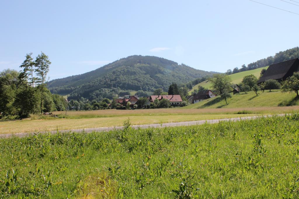 Haus Traudel Matt Hotel Elzach Kültér fotó