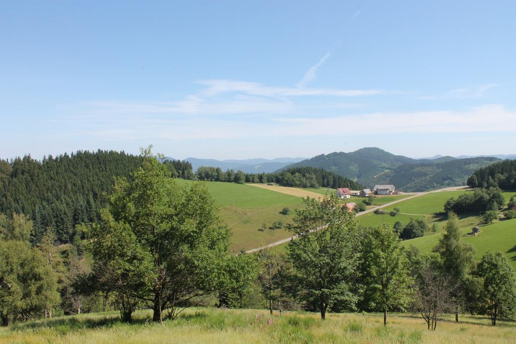 Haus Traudel Matt Hotel Elzach Kültér fotó